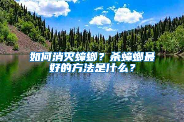 如何消滅蟑螂？殺蟑螂最好的方法是什么？