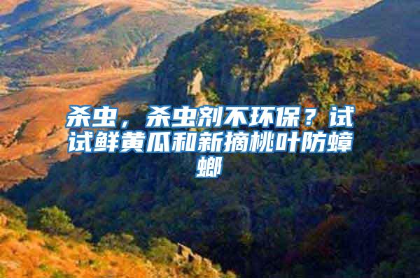 殺蟲,殺蟲劑不環保?試試鮮黃瓜和新摘桃葉防蟑螂