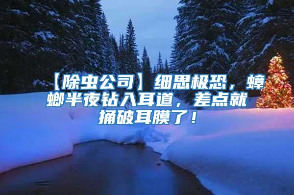 【除蟲公司】細思極恐,蟑螂半夜鉆入耳道,差點就捅破耳膜了!