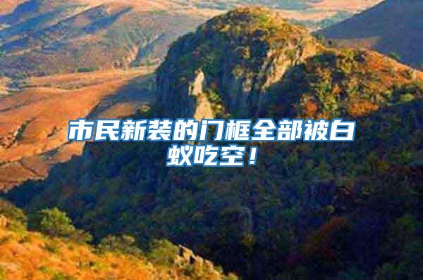 市民新裝的門框全部被白蟻吃空！