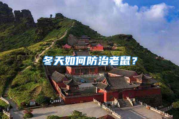 冬天如何防治老鼠?