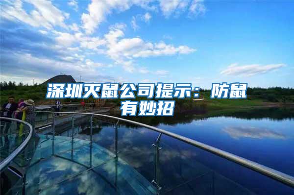 深圳滅鼠公司提示:防鼠有妙招