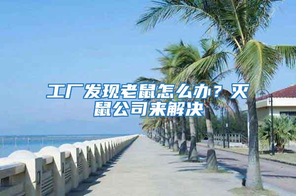 工廠發(fā)現(xiàn)老鼠怎么辦?滅鼠公司來解決