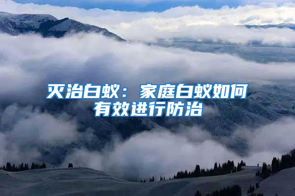 滅治白蟻:家庭白蟻如何有效進行防治