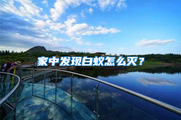 家中發現白蟻怎么滅?