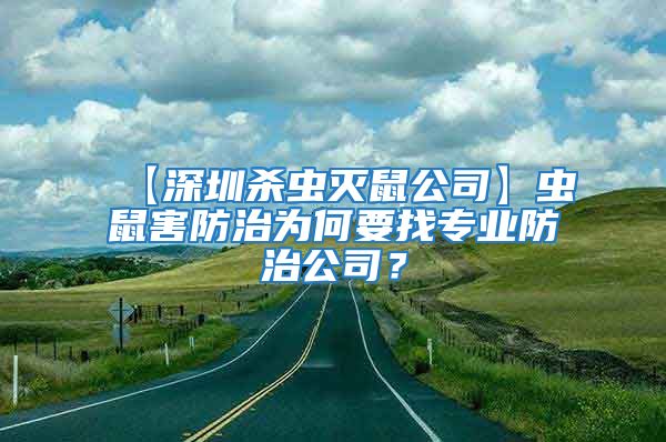 【深圳殺蟲滅鼠公司】蟲鼠害防治為何要找專業防治公司?