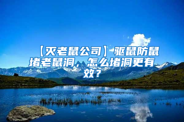 【滅老鼠公司】驅(qū)鼠防鼠堵老鼠洞,怎么堵洞更有效?