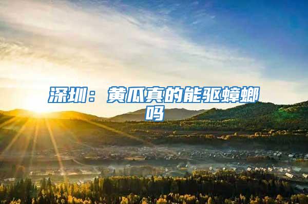 深圳:黃瓜真的能驅蟑螂嗎