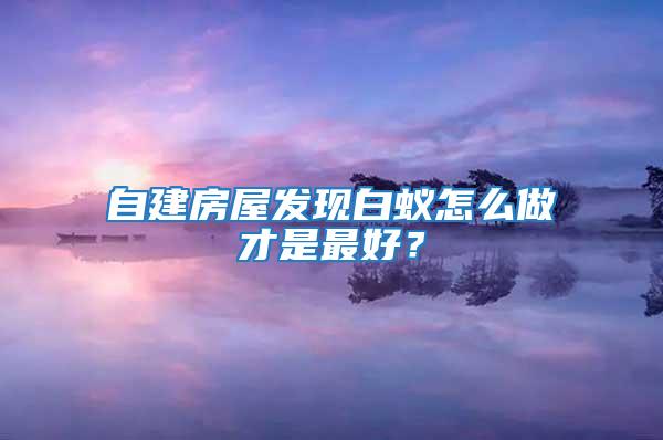 自建房屋發現白蟻怎么做才是最好?