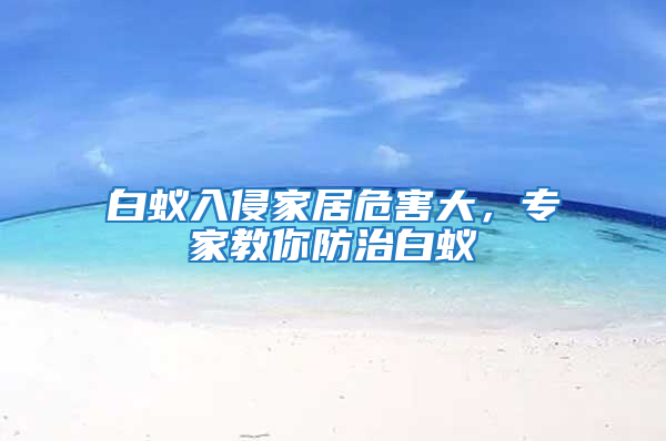 白蟻入侵家居危害大，專家教你防治白蟻