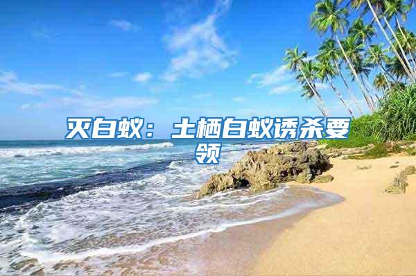 滅白蟻:土棲白蟻誘殺要領