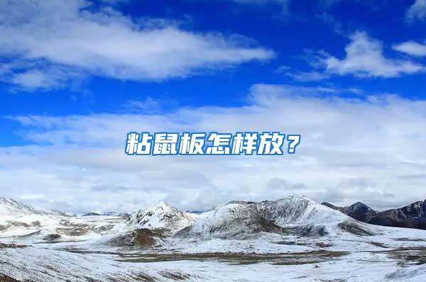 粘鼠板怎樣放?