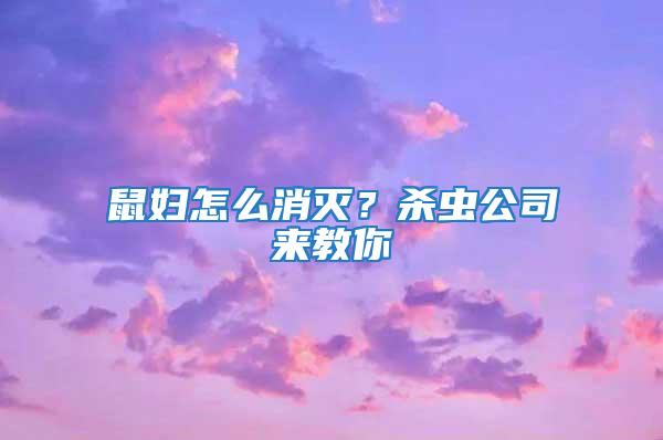 鼠婦怎么消滅?殺蟲公司來教你