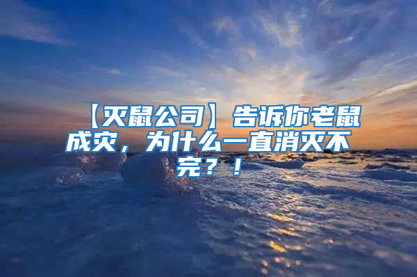 【滅鼠公司】告訴你老鼠成災(zāi),為什么一直消滅不完?!