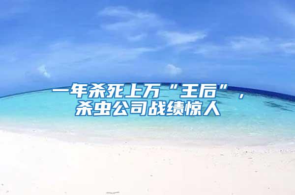 一年殺死上萬“王后”，殺蟲公司戰績驚人