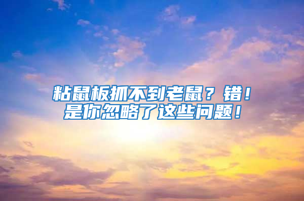 粘鼠板抓不到老鼠?錯!是你忽略了這些問題!