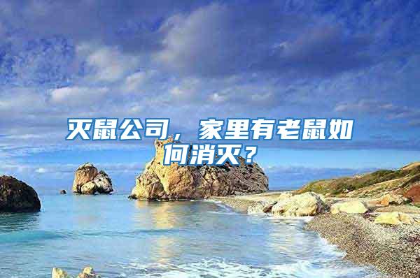 滅鼠公司,家里有老鼠如何消滅?