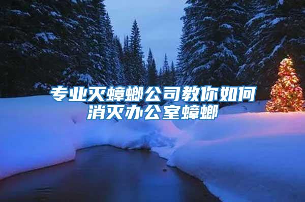 專業(yè)滅蟑螂公司教你如何消滅辦公室蟑螂