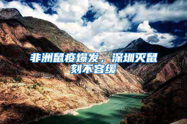 非洲鼠疫爆發,深圳滅鼠刻不容緩