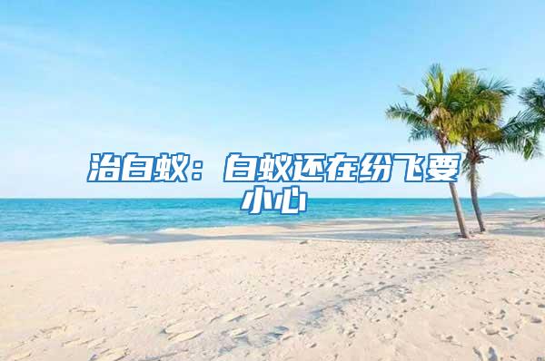 治白蟻:白蟻還在紛飛要小心