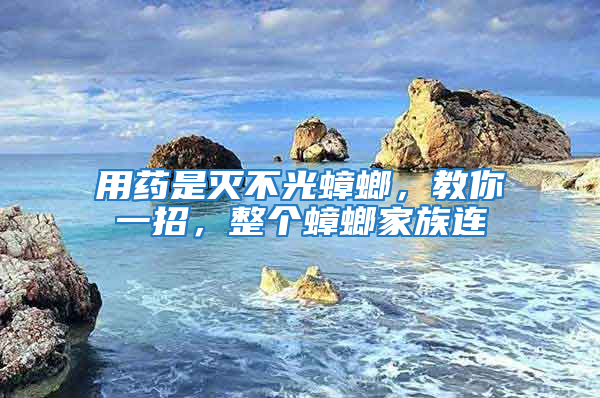 用藥是滅不光蟑螂,教你一招,整個(gè)蟑螂家族連