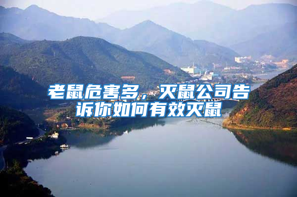 老鼠危害多,滅鼠公司告訴你如何有效滅鼠