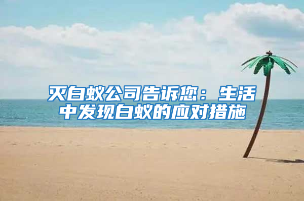 滅白蟻公司告訴您:生活中發現白蟻的應對措施