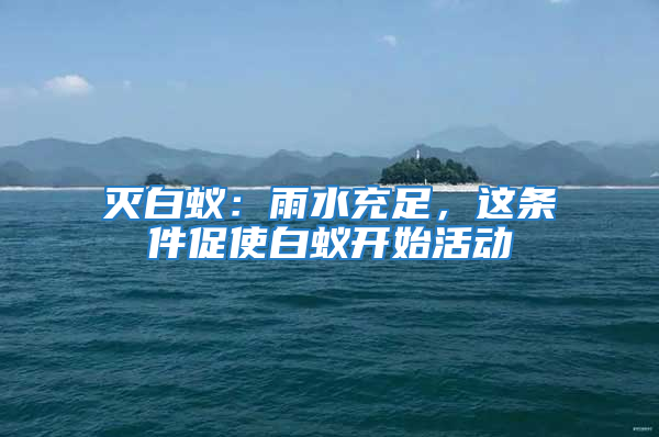 滅白蟻：雨水充足，這條件促使白蟻開始活動(dòng)