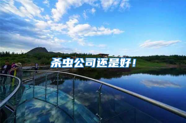 殺蟲公司還是好!