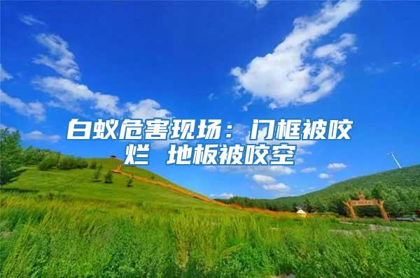 白蟻危害現(xiàn)場(chǎng):門框被咬爛 地板被咬空