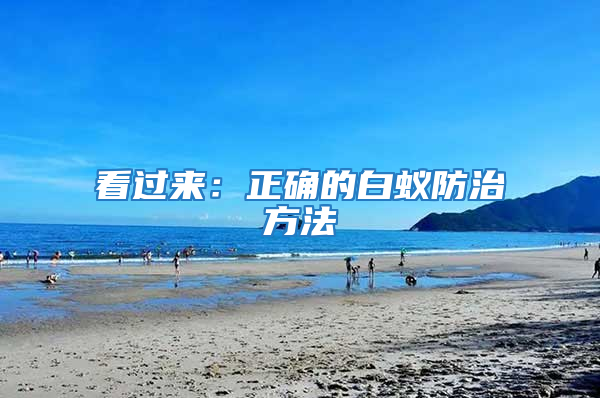 看過來:正確的白蟻防治方法