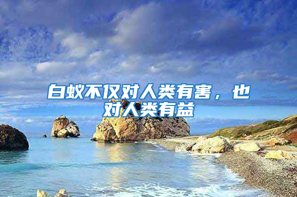 白蟻不僅對人類有害,也對人類有益