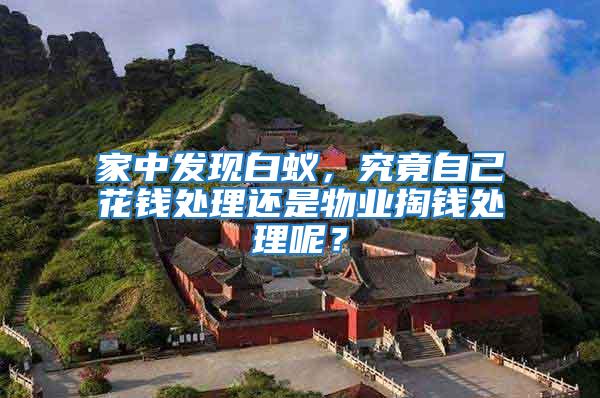 家中發現白蟻,究竟自己花錢處理還是物業掏錢處理呢?