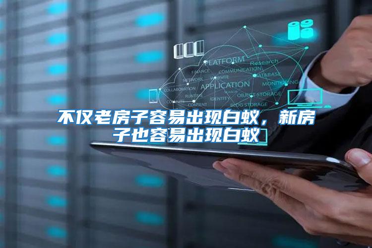 不僅老房子容易出現白蟻,新房子也容易出現白蟻