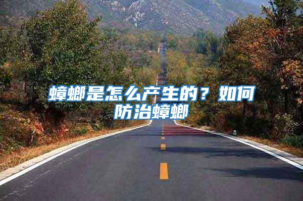 蟑螂是怎么產生的？如何防治蟑螂