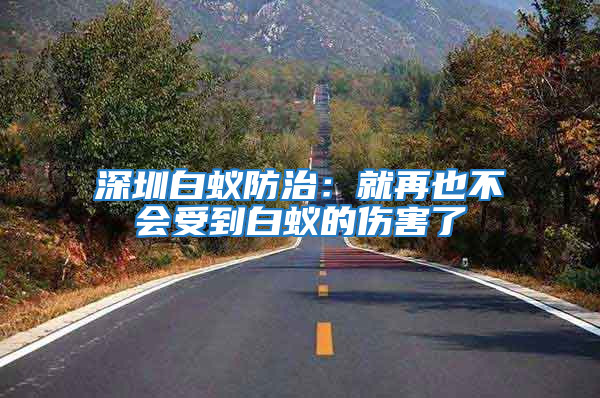 深圳白蟻防治:就再也不會受到白蟻的傷害了
