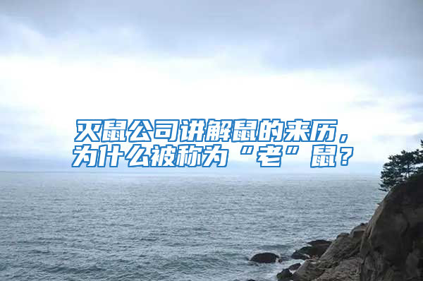 滅鼠公司講解鼠的來歷，為什么被稱為“老”鼠？