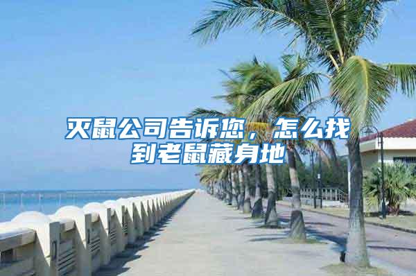 滅鼠公司告訴您,怎么找到老鼠藏身地