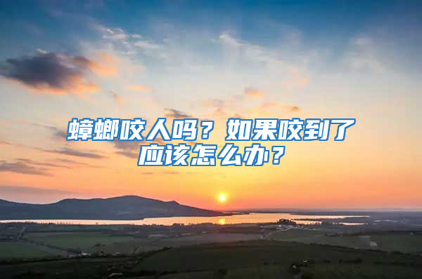 蟑螂咬人嗎?如果咬到了應(yīng)該怎么辦?
