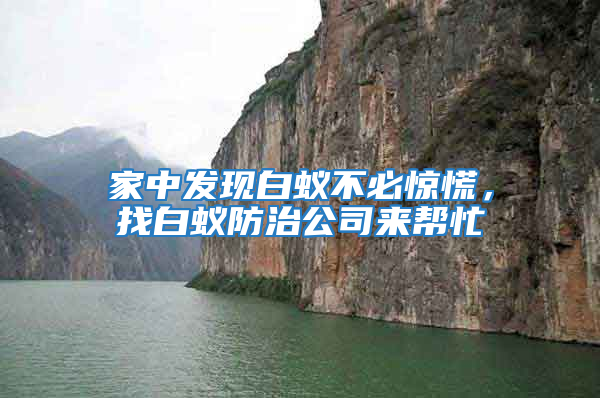 家中發現白蟻不必驚慌,找白蟻防治公司來幫忙