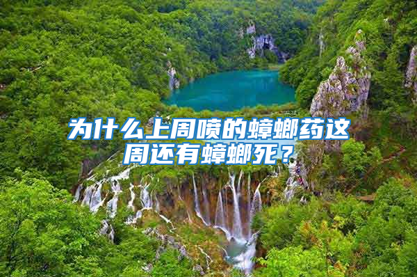 為什么上周噴的蟑螂藥這周還有蟑螂死?