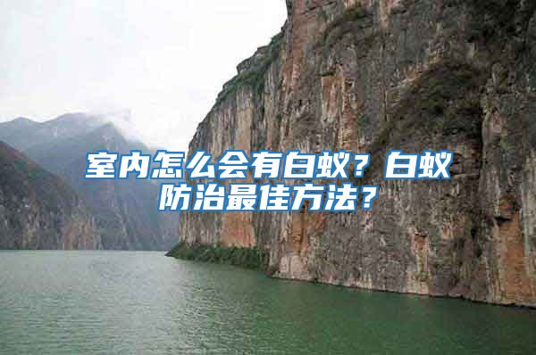 室內(nèi)怎么會(huì)有白蟻?白蟻防治最佳方法?