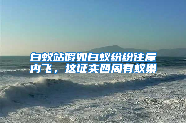 白蟻站假如白蟻紛紛往屋內(nèi)飛,這證實四周有蟻巢