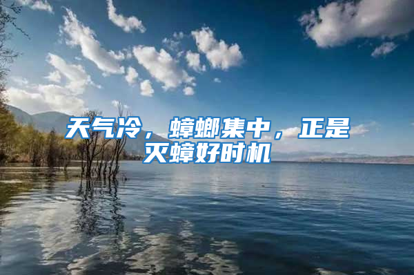 天氣冷,蟑螂集中,正是滅蟑好時(shí)機(jī)