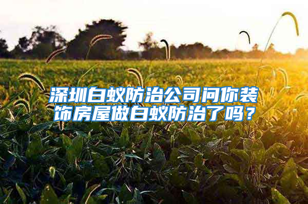深圳白蟻防治公司問你裝飾房屋做白蟻防治了嗎?