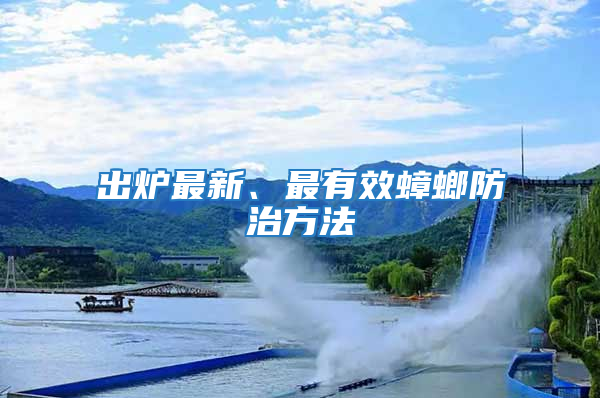 出爐最新、最有效蟑螂防治方法