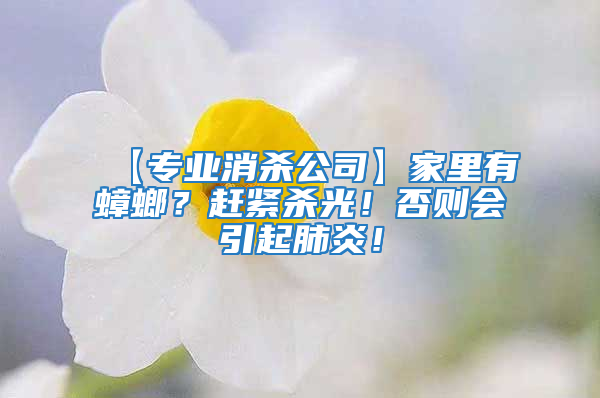 【專業(yè)消殺公司】家里有蟑螂?趕緊殺光!否則會引起肺炎!
