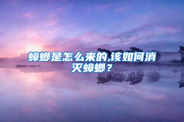 蟑螂是怎么來的,該如何消滅蟑螂？