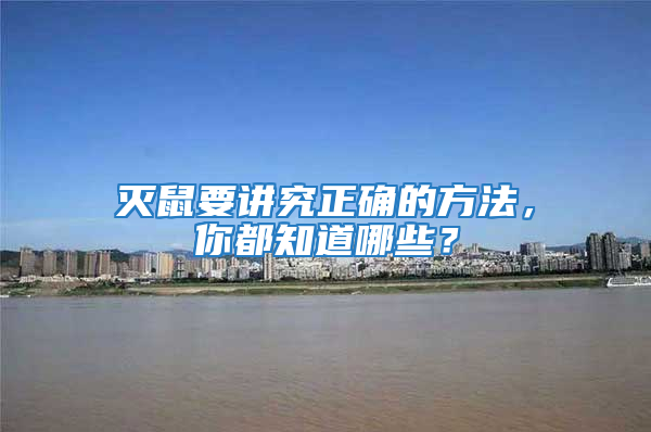 滅鼠要講究正確的方法，你都知道哪些？