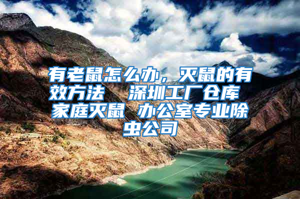 有老鼠怎么辦,滅鼠的有效方法  深圳工廠倉庫 家庭滅鼠 辦公室專業除蟲公司